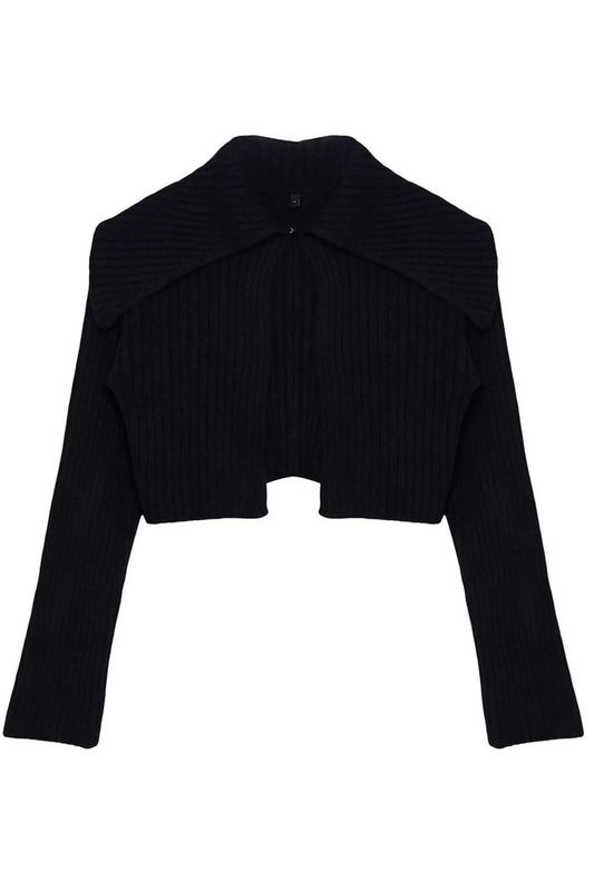 Women Fashion Stylish Crop Turn-down Collar Regular Super Crop Soft Textured Knitwear Cardigan