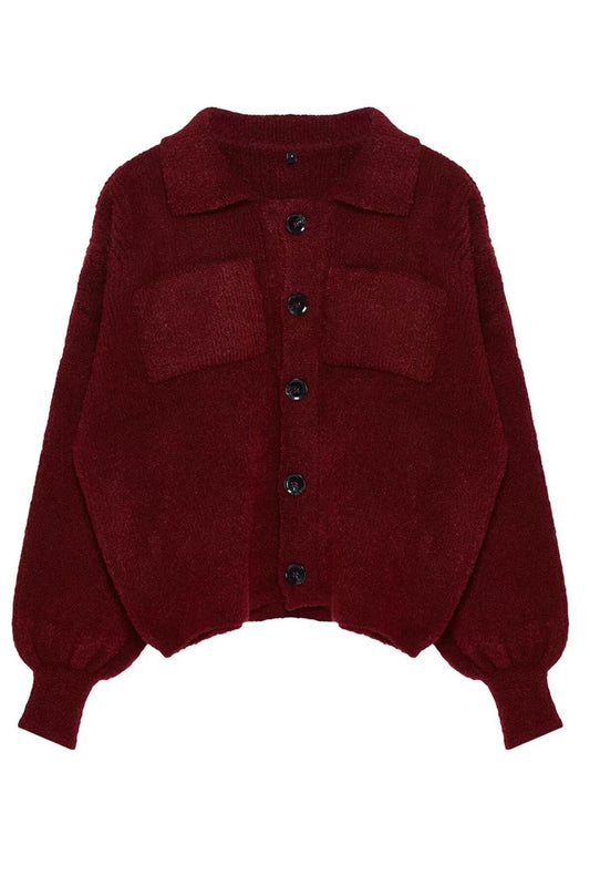 Women Fashion Stylish Regular Polo Collar Regular Soft Texture Coat Look Knitwear Cardigan