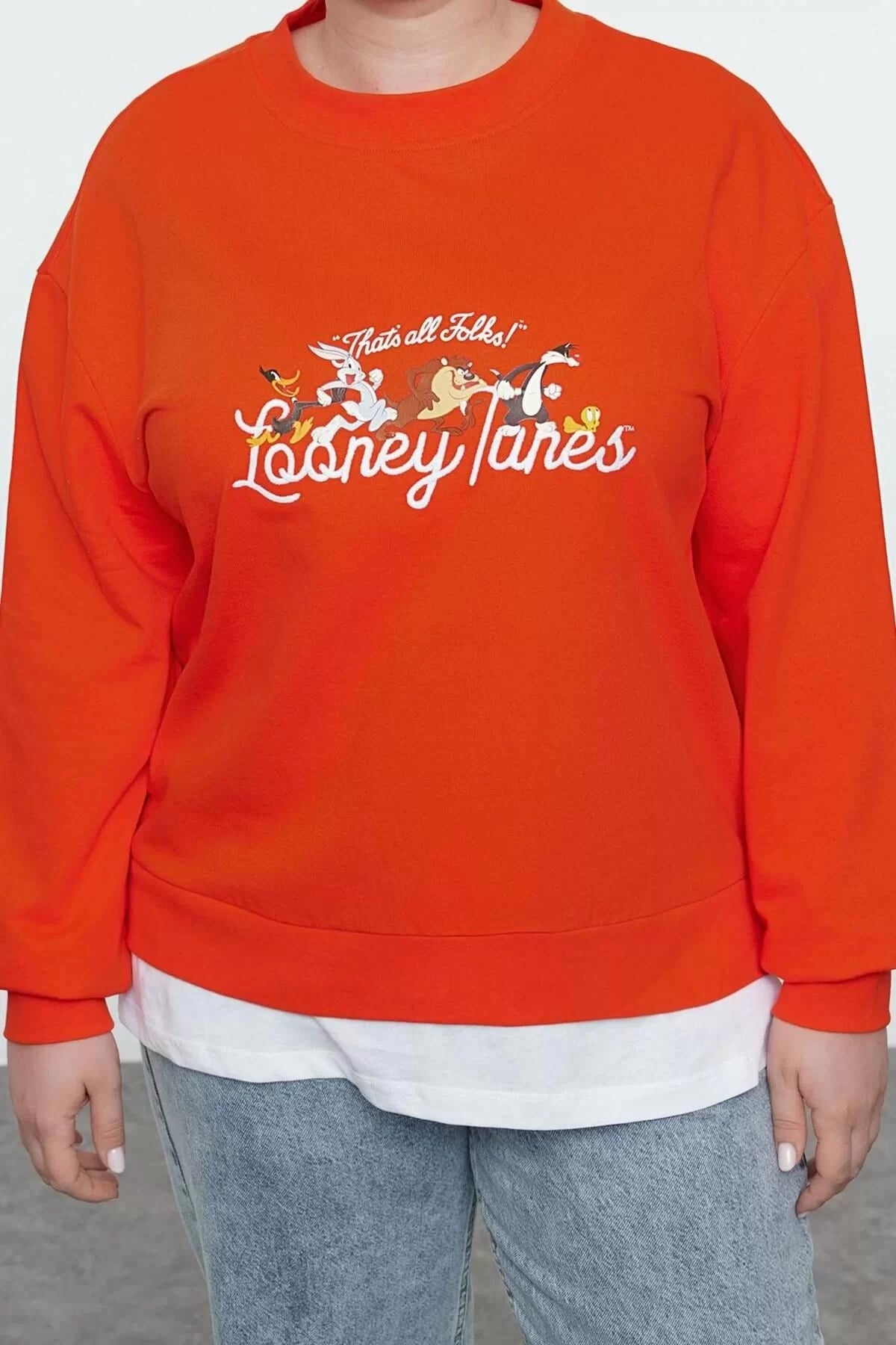 Women's Plus Size Regular Crew Neck Standard Sleeve Regular Looney Tunes Licensed Knitted Sweatshirt