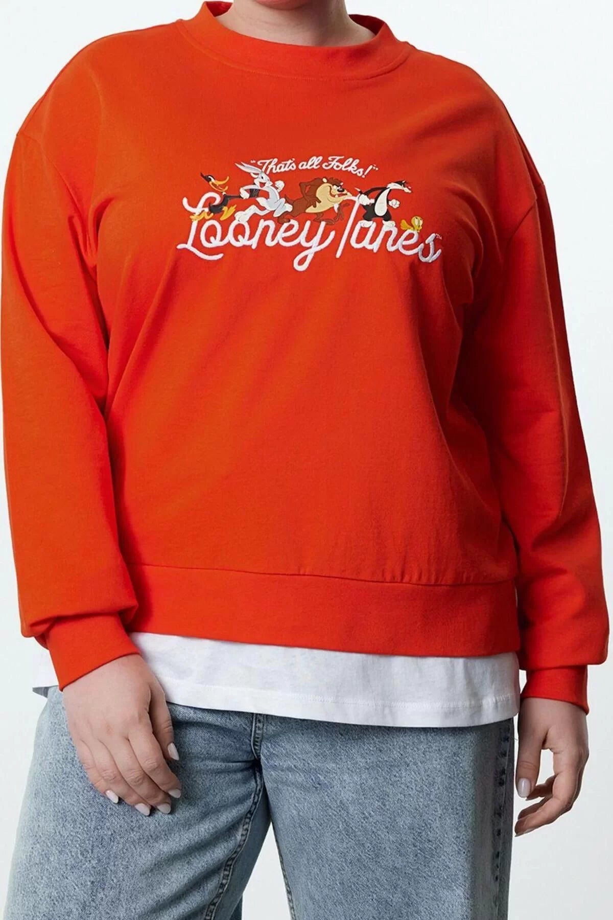 Women's Plus Size Regular Crew Neck Standard Sleeve Regular Looney Tunes Licensed Knitted Sweatshirt