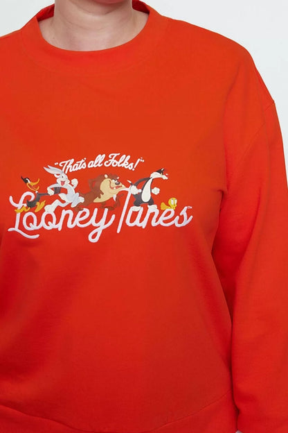 Women's Plus Size Regular Crew Neck Standard Sleeve Regular Looney Tunes Licensed Knitted Sweatshirt