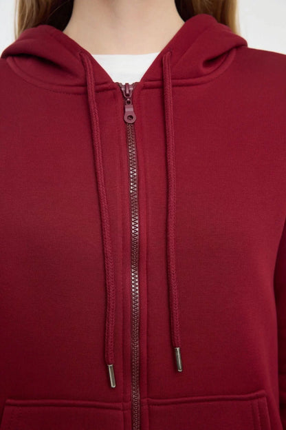 Women's Fashion Regular Hooded Standard Sleeve Regular Claret Red 001 Basic Thick Polar Fleece Knitted Sweatshirt