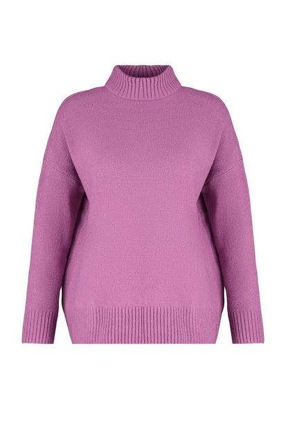 Women's Fashion Stylish Stand Collar Low Sleeve Regular Wide Fit Soft Texture Knitwear Sweater