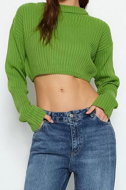 Women Fashion Stylish Crew Neck Standard Sleeve Crop Super Basic Knitwear Sweater