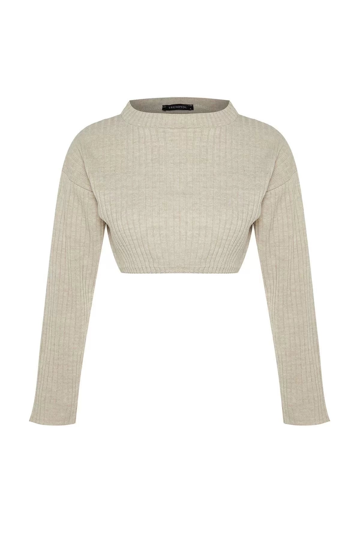 Women Fashion Stylish Crew Neck Standard Sleeve Crop Super Basic Knitwear Sweater