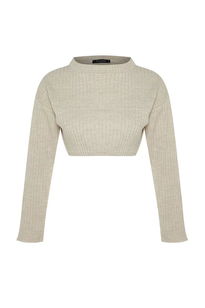 Women Fashion Stylish Crew Neck Standard Sleeve Crop Super Basic Knitwear Sweater