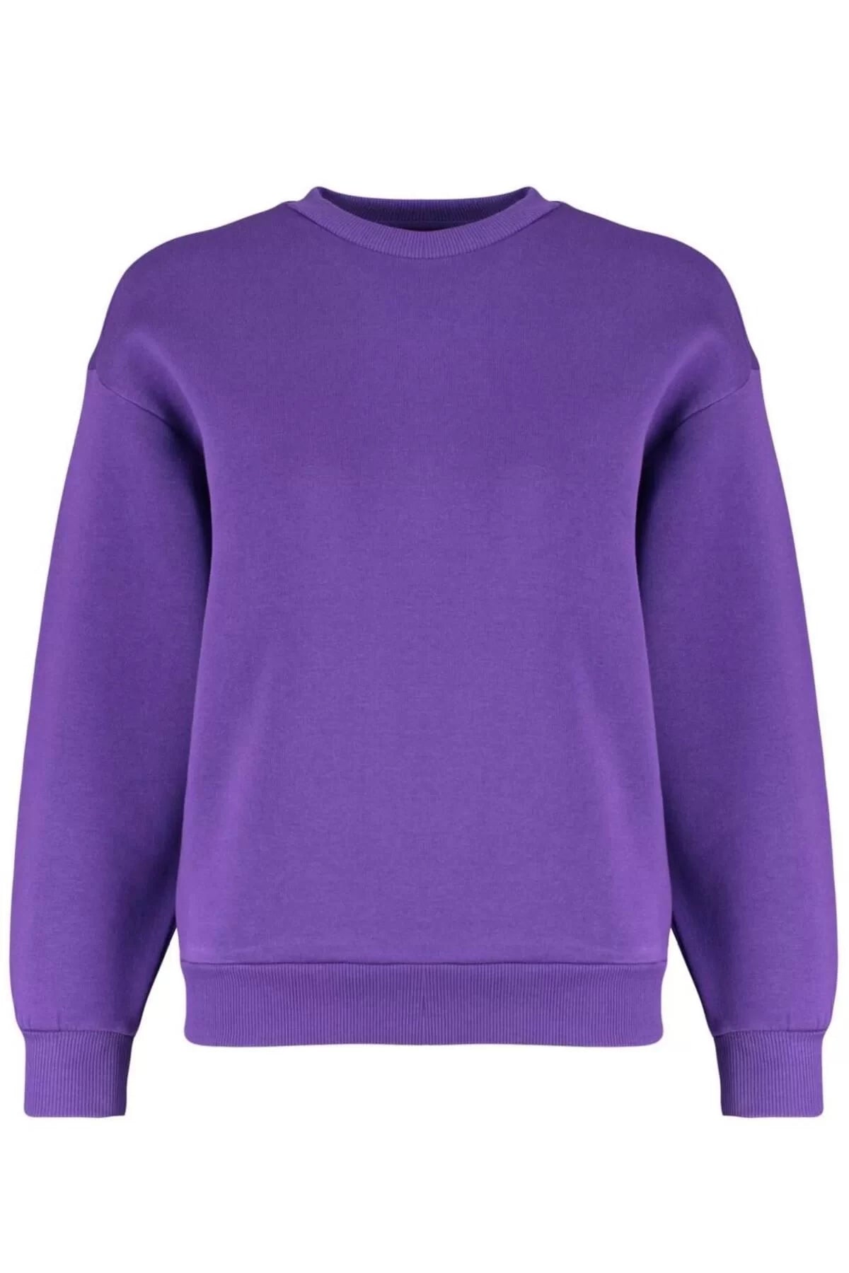 Women's Regular Crew Neck Low Sleeve Regular Thick Polar Fleece Regular Fit Basic Knitted Sweatshirt