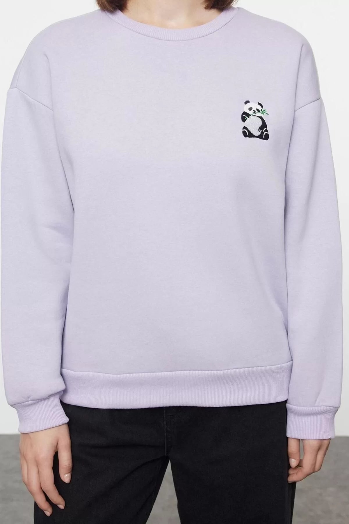 Women's Crew Neck Standard Sleeve Animal Embroidered Regular Fit Thick Polar Fleece Knitted Sweatshirt