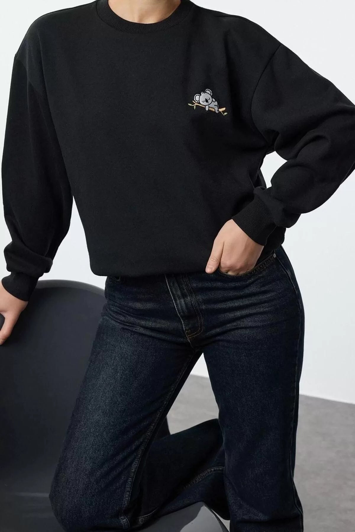 Women's Crew Neck Standard Sleeve Animal Embroidered Regular Fit Thick Polar Fleece Knitted Sweatshirt