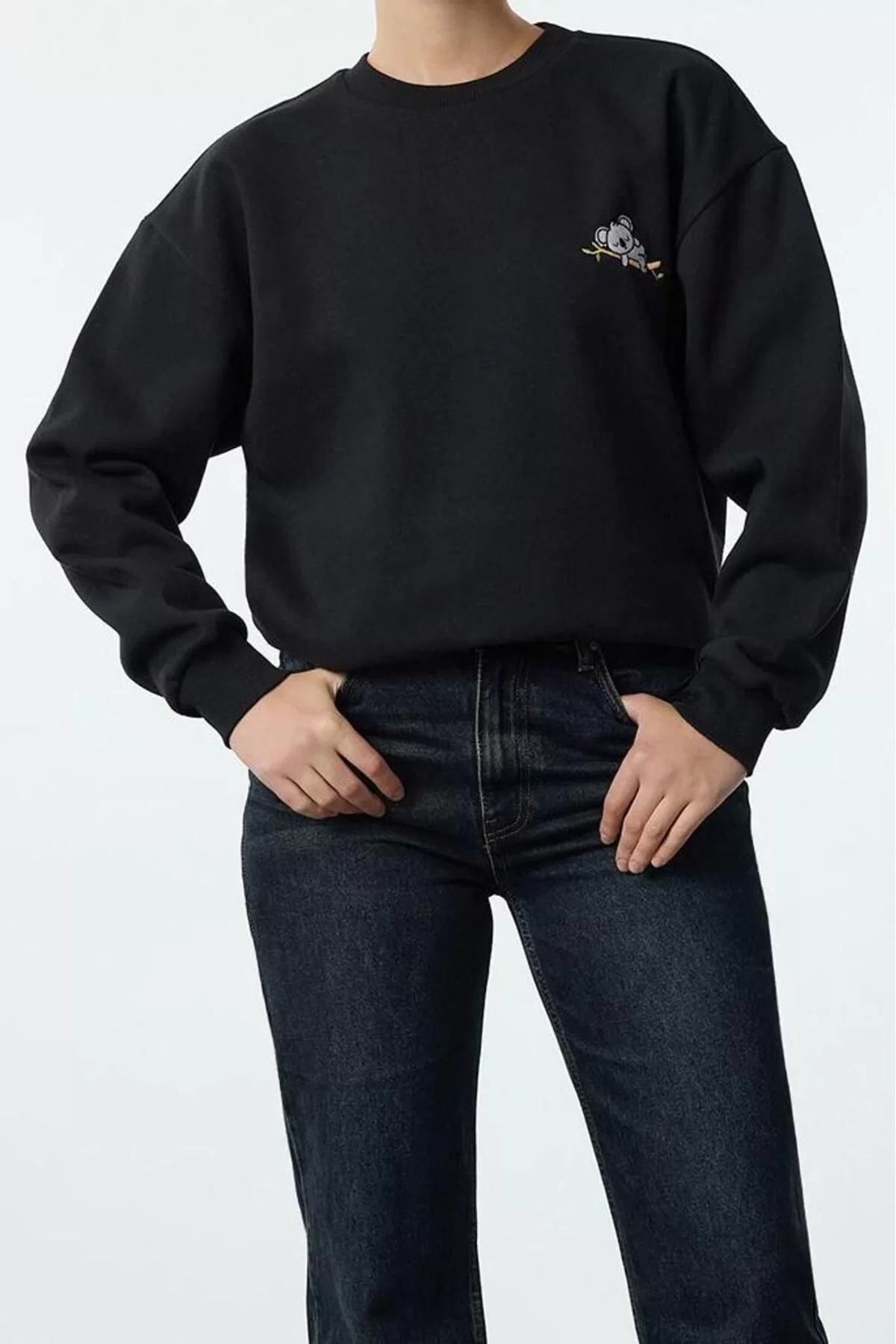 Women's Crew Neck Standard Sleeve Animal Embroidered Regular Fit Thick Polar Fleece Knitted Sweatshirt