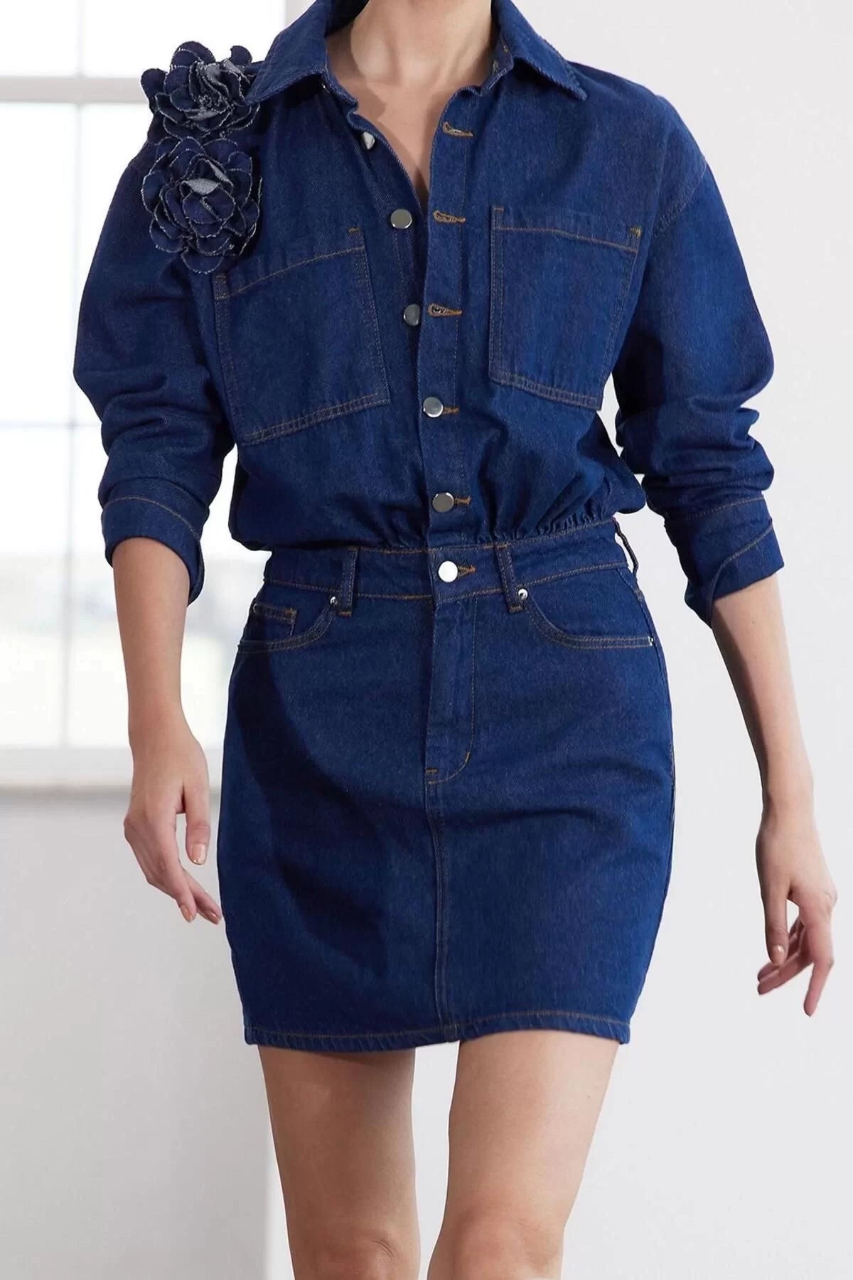 Women Fashion Stylish Regular Size Shirt Collar Regular Limited Edition Rose Detailed Denim Dress