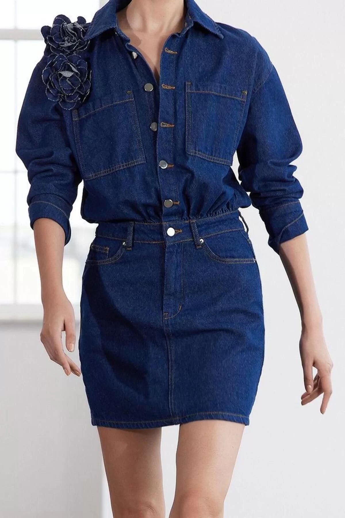 Women Fashion Stylish Regular Size Shirt Collar Regular Limited Edition Rose Detailed Denim Dress