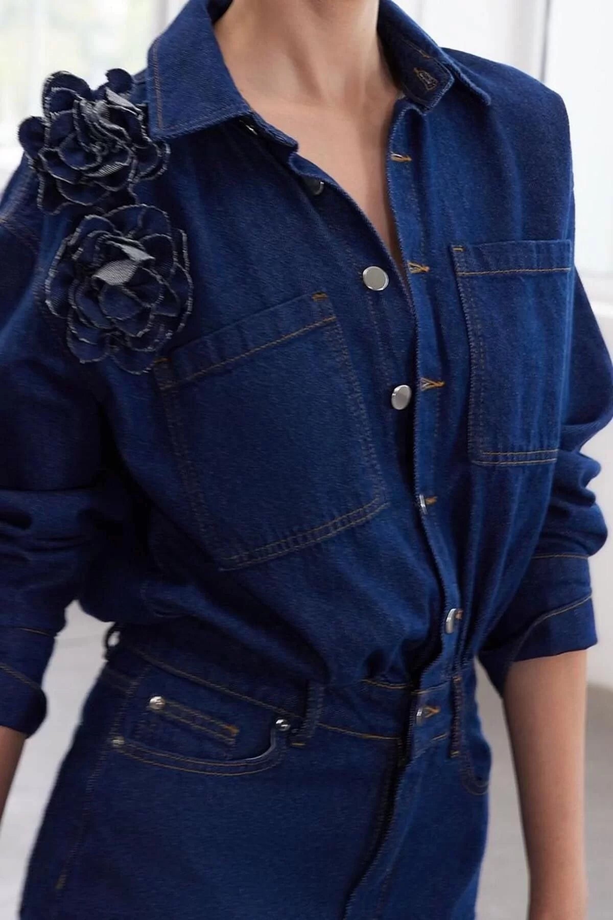 Women Fashion Stylish Regular Size Shirt Collar Regular Limited Edition Rose Detailed Denim Dress