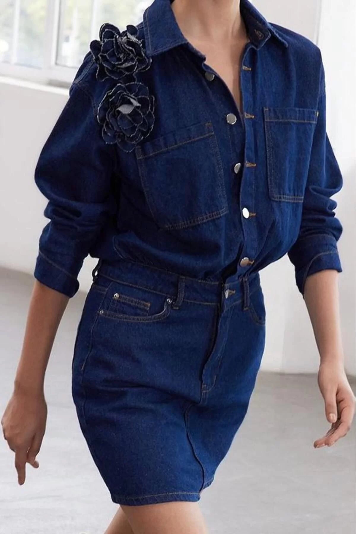 Women Fashion Stylish Regular Size Shirt Collar Regular Limited Edition Rose Detailed Denim Dress