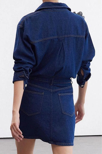 Women Fashion Stylish Regular Size Shirt Collar Regular Limited Edition Rose Detailed Denim Dress