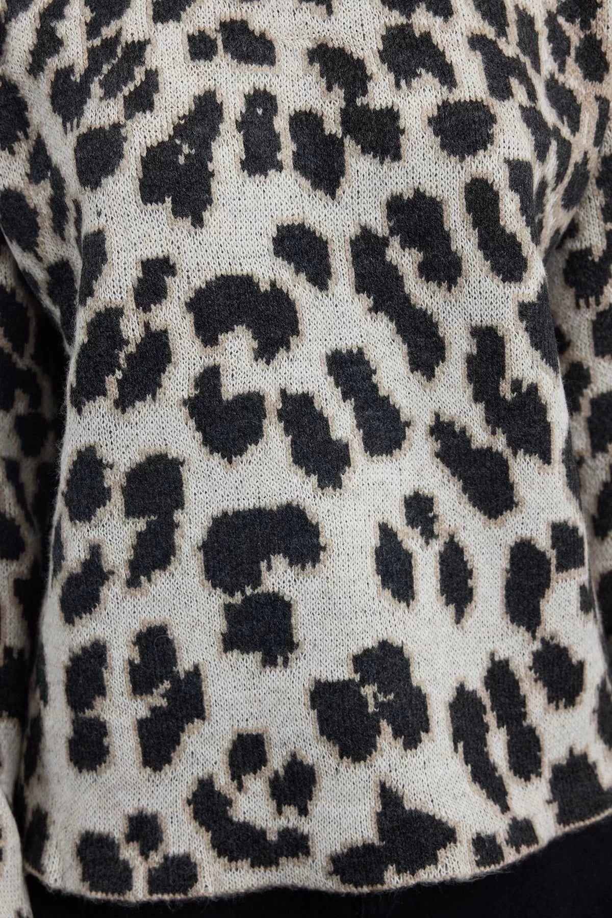 Women Fashion Stylish Crew Neck Standard Sleeve Regular Soft Texture Leopard Patterned Knitwear Sweater