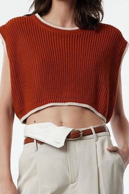 Women Fashion Stylish Crew Neck Regular Sleeve Crop Knit Sweater