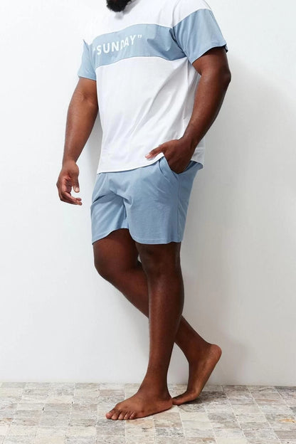 Plus Size Men's Cotton Crew Neck Short Sleeve Regular Fit Printed Shorts Pajama Set