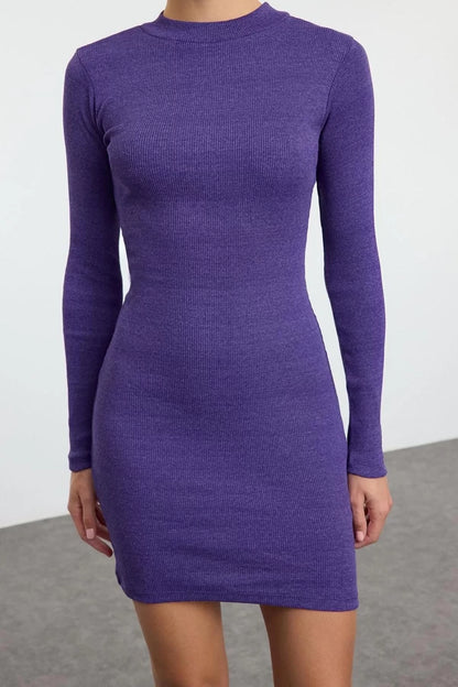 Women Fashion Stylish Mini Length Stand Collar Slim Fit Half Turtleneck Ribbed Flexible Knitted Dress