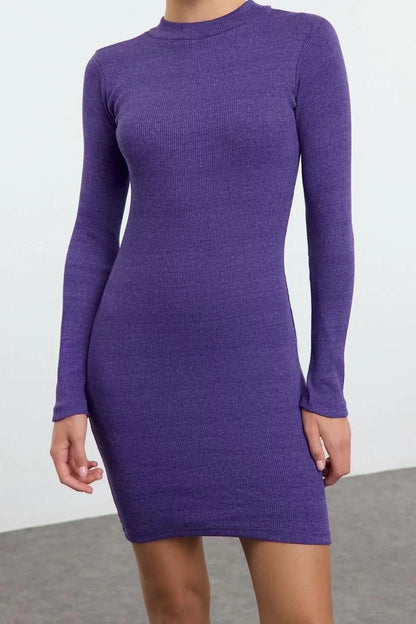 Women Fashion Stylish Mini Length Stand Collar Slim Fit Half Turtleneck Ribbed Flexible Knitted Dress