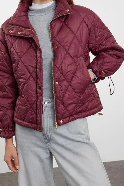 Women Fashion Stylish Regular Stand Collar Standard Plain Lined Regular Water Repellent Quilted Puffer Coat