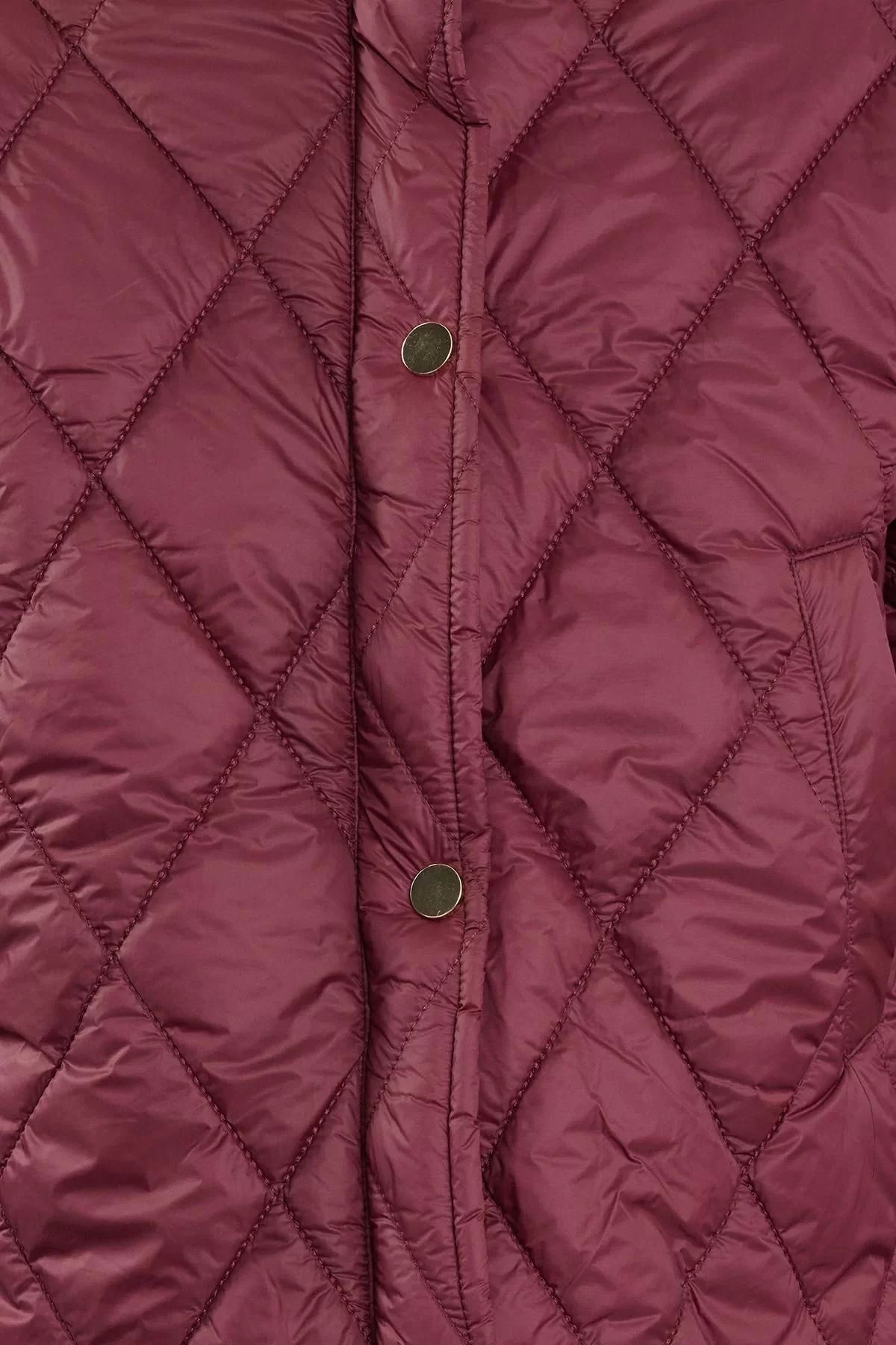 Design Plain Lined Collar Standard Regular Upright Women's Regular Water Repellent Quilted Puffer Jacket