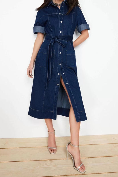 Fashion Regular Casual Daily Rigid Denim Shirt Collar Long Sleeve Basic Maxi Length Dress